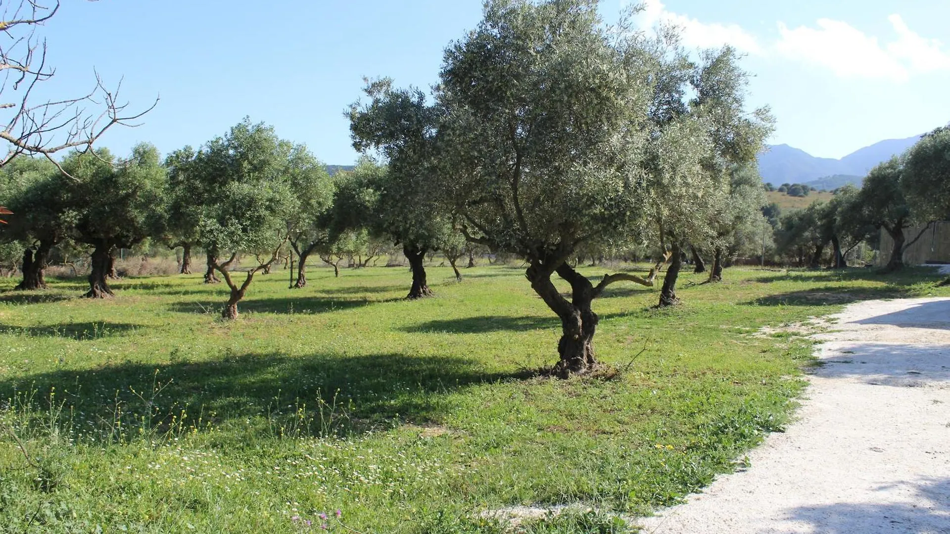 Casa De Campo En Coin 0*,  Spain